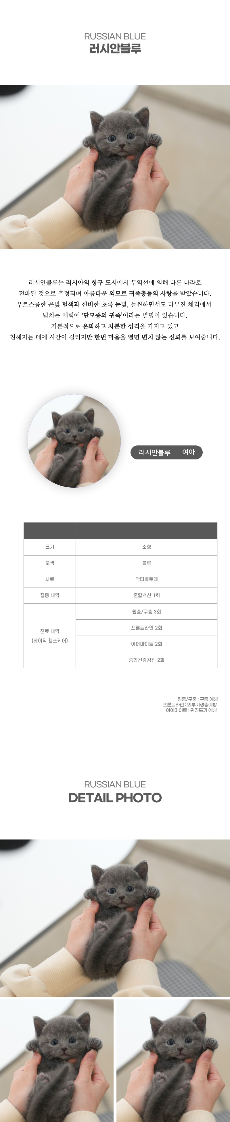 러시안블루_상세이미지_2